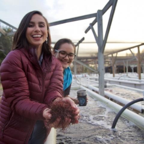 Two women by outdoor tanks, one holding a sea creature